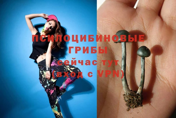 твердый Протвино