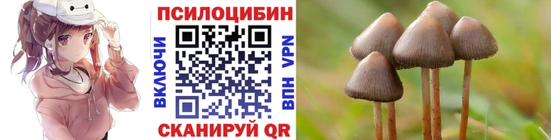 Псилоцибиновые грибы MAGIC MUSHROOMS Куровское